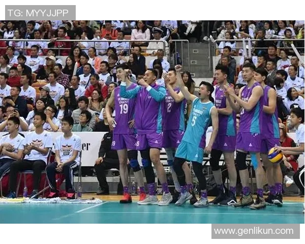 深圳排球队逆袭之路的真实故事与奋斗精神全记录 深圳排球队逆袭之路的真实故事与奋斗精神全记录