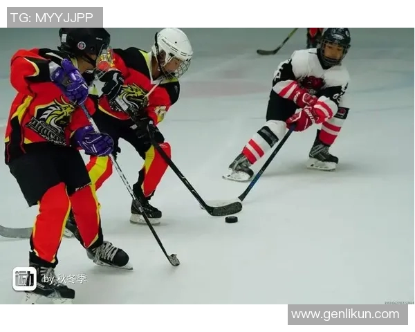 深入探讨北京羽毛球队技术特点与其他球队的差异分析 深入探讨北京羽毛球队技术特点与其他球队的差异分析